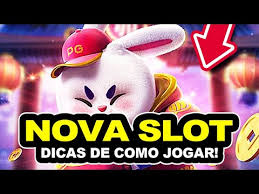 7rabbit.com plataforma